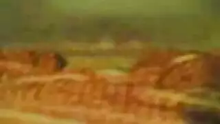 فيديو عربي إكس إكس إكس ملحمي: مشاهد جنسية طويلة وتفصيلية