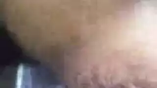الهرة مشعر القذف الإناث تعذيب