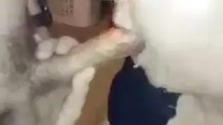 الجنس الخشن على الحمار ما تستطيع الفيديو الإباحية نوفو