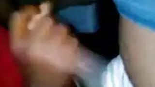 سكر ياباني