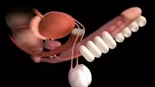 اخوات لوحدهم في البيت سكس