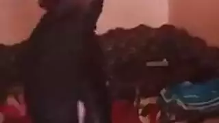 مصرية تجيبهم امام الماميرا