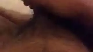 مكتنزة سكانك طويل ذو أرجل