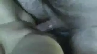 ناكها في سهرة العشاء