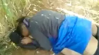 في الغيط مصري