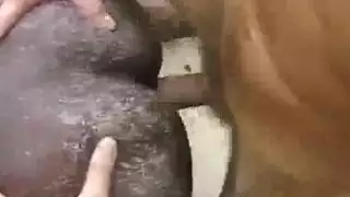 مصري نسوان تخينه كلام ؤسخ جديد