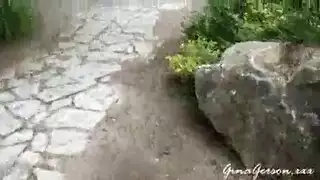 كركب تلك