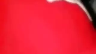 الجميع صني