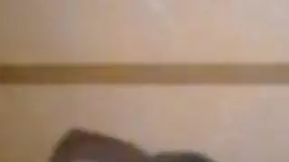 توصلية لاختي