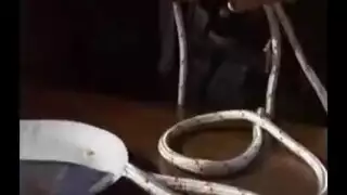 بنتي ماشت تقرا