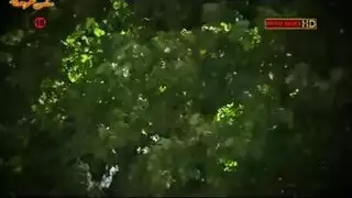 بداية شرجية: مشهد الجنس الجماعي الأول في قناة مورجان