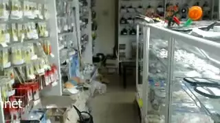 مثليات الأعمال: لحس فرج ومناورات سلطة