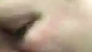 الأبواق شمام