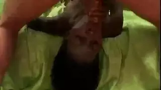 خشب الأبنوس الجنس الشرجي الأقواس نطفة