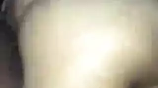 المجموعة العربدة جلد الاسكتلندي