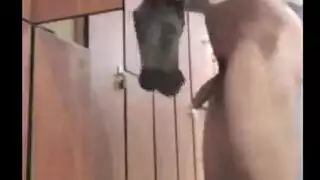 أريكة عذراء غرفة التبديل