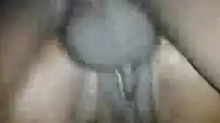 نيك بايد والزب