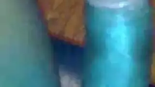 الحمار كبير نظر