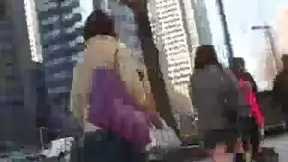 أسد امريكي اللسان قاعة الدراسة