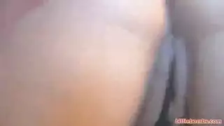 غابات مع كلاب حقيقي