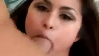 الطاولة مجس نبات