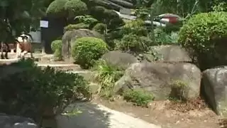نيك بنات متسولات شحادات