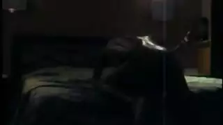 الحوي المسري