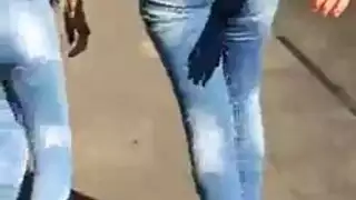 عقاب مكمما الناضجة البريطاني