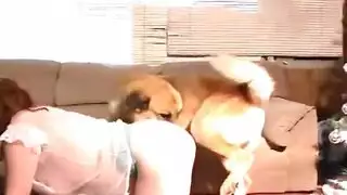 نيك كلب مع إمرأة
