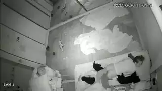 ابوها واخوها يلحسون لها كسها