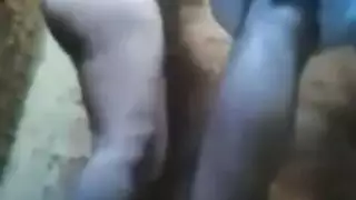 الأبن زنق امة