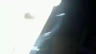 الجنس الخشبي