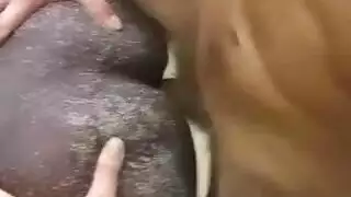 اكلاسيلي