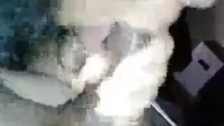 سمراء تتعرض لجنس فموي عنيف في حمام عام