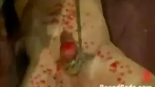 حفل ساديه