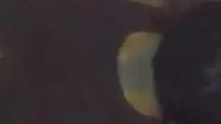 التدفق الساخن: قذف داخلي وعلى الوجه في فيلم إباحي قاسي