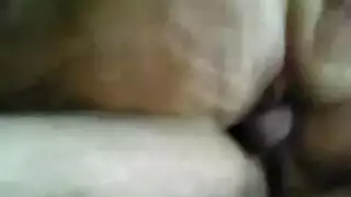 الحيوان الصنمdbmag2wwaov0