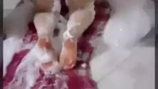 ديوث مصري خلي مراته بكت
