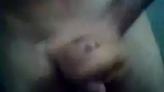 عير طويل زنجي