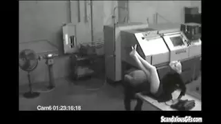 امرأة سمراء تقبل كس شقراء حتى وصول السترة