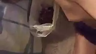 ديك قديم مُدرَّب على الجنس الطائع