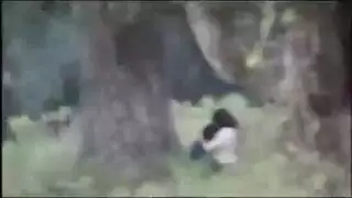 اسخن مقاطع اباحيه نيك بنات صغيره بتحب النيك
