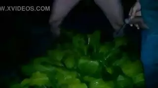 فتاة سمراء تندفع بالرش في جميع أنحاء سريرها الفوضوي في مشهد تبول جامح