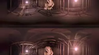 ضرب علئ الوجه