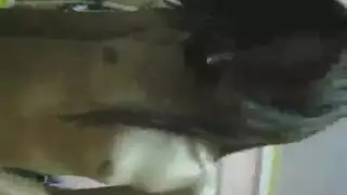 ثنائي آسيوي يسبل اللعاب على انتصاب ضخم