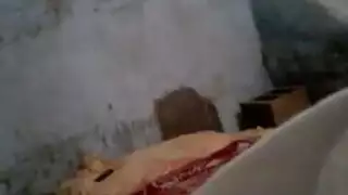 البنات المصرية وهما بالبك