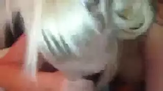 الشقراوات العاريات وحفلتهن مع القضيب الصناعي