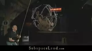 خنزير نيك كلب