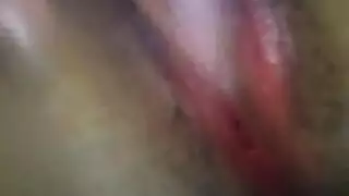 الفحل الثري يُفرغ ثروته السميكة