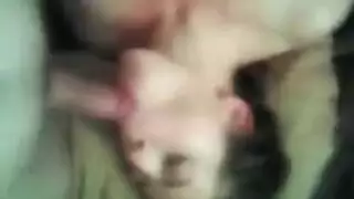 زفاف إباحي: أربع عاهات تقدم خدمة المص